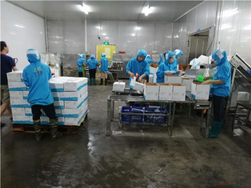 專業驗廠 生產環境檢查,第三方商品檢查報告 第三方