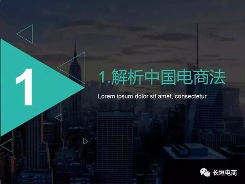 實戰 中國電子商務法解析