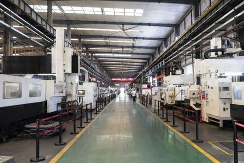 金融 及時雨 ,助力產業興